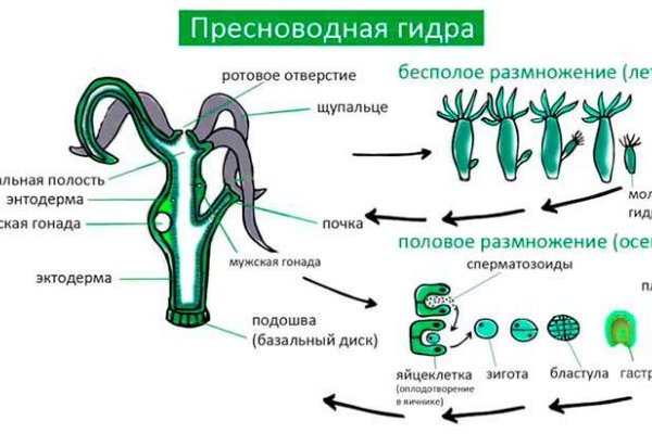 Рабочее зеркало кракен store