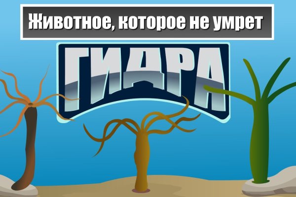 Гидра даркнет рынок