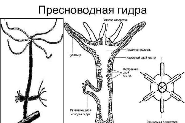 Как восстановить пароль на кракене