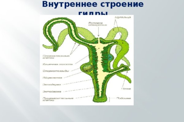 Где купить наркоты