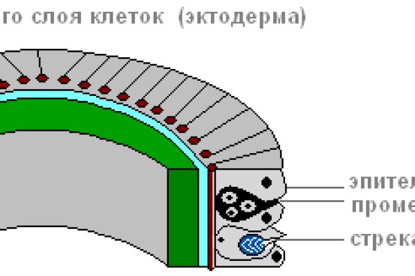 Кракен маркет что это такое