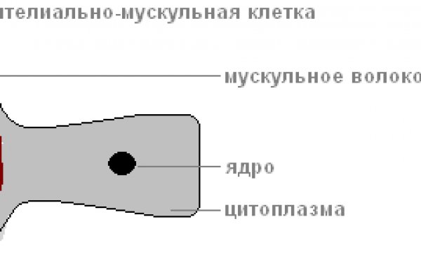 Сайт кракен онион