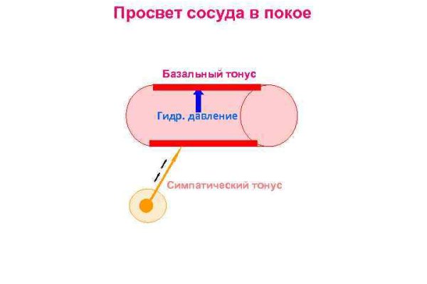 Кракен зеркало krakenat2krnkrnk com