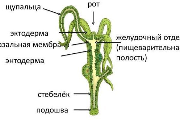 Кракен не грузит